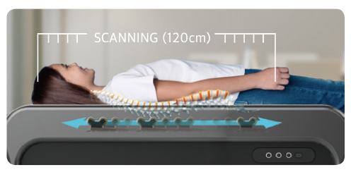 脊椎スキャニング SCANNING(120cm)